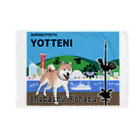 koha channelの柴犬小春 in KOBE Blanket