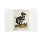 J. Jeffery Print Galleryの絶滅の鳥　ドードー Blanket