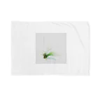 a.c.a.botanicalのTillandsia Blanket