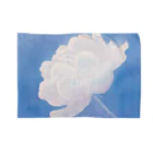 LUCENT LIFEの白ばら / White Rose Blanket