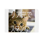 satake☆キジ猫のリア充な猫 動物 Blanket