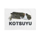 うさぎのこつゆチャンネル Rabbit Kotsuyu channelのこつゆブランケット（ぐうたら） Blanket