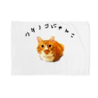 ふくみつのウチのねこ Blanket