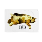 CAT CROWNのキャンディの開き Blanket