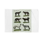 J. Jeffery Print Galleryの1802年ドイツの犬たち Blanket