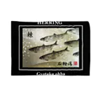 G-HERRINGの鰊！石狩湾【ニシン；HERRING】生命たちへ感謝を捧げます。  ブランケット