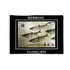 G-HERRINGの鰊！寿都【ニシン；HERRING】生命たちへ感謝を捧げます。  ブランケット