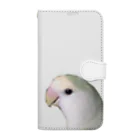 AochanChaaachanのセキセイインコのアオちゃんとコザクラインコのチャーちゃん Book-Style Smartphone Case