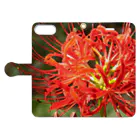 K-ioriの季節の花　彼岸花 Book-Style Smartphone Case:Opened (outside)