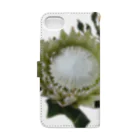 flower & Plants EdenのWild Flower キングプロテア Book-Style Smartphone Case :back