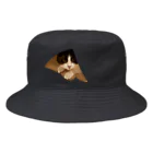 5masのはちわれの潜伏 Bucket Hat