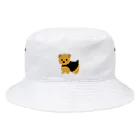 TOMOS-dogのnorfolkterrier（ブラタン） Bucket Hat