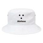 ヨープキャンが気になったのIs Maltese like this? バケットハット