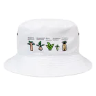 ブブブバオバブのかわいい実生たち Bucket Hat