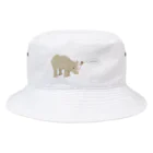 ari designのススメ!(サイとウシツツキ) Bucket Hat