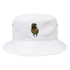 ウロコインコの翠のグッズショップのウロコインコの翠【おすましver】 Bucket Hat