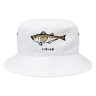 脂身通信Ｚの【魚シリーズ】ハタハタ♪221208 Bucket Hat