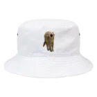 茶トラねこずのあくび猫のシロ Bucket Hat