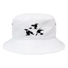 Miaplacidus（ミアプラ）の3頭集合 Bucket Hat