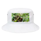 tizujonoboukenの自然豊か Bucket Hat