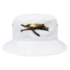 グレージュ猫ロッタン🐈‍⬛のお昼寝ロッタン Bucket Hat