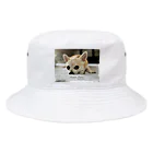 犬執事・ドッグバトラーのバンビ君ショップの世界初！本物の犬執事・ドッグバトラーのバンビ君 Bucket Hat