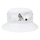 ホーム・はとばんぬ・ホームの桜文鳥 Bucket Hat
