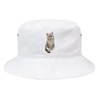 うちの猫ちゃんたちの数少ない美男子とらと Bucket Hat