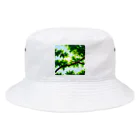 enodeaouの立っている木の枝 Bucket Hat