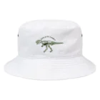 ⚡︎HAKIの散歩dinosaur Bucket Hat