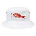 shop reikaのめでたいグッズ Bucket Hat