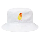 まめるりはことりのコザクラインコ　おすましルチノー【まめるりはことり】 Bucket Hat