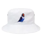 まめるりはことりのボタンインコ　おすましコバルトブルー【まめるりはことり】 Bucket Hat