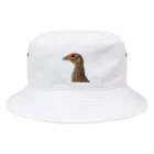 曽我農園のメスの雉　ミニロゴ Bucket Hat