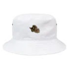 海老太郎のトイプードルのくぅちゃんです Bucket Hat