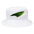 まめるりはことりのサザナミインコ　グリーン【まめるりはことり】 Bucket Hat