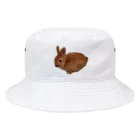 AKのこうさぎちゃん Bucket Hat