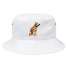 愛犬太郎のグッズの黄昏太郎【柴犬】 Bucket Hat