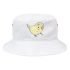 まめるりはことりの可愛いセキセイインコ　おすましちゃん【まめるりはことり】 Bucket Hat