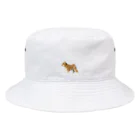 KANTAROの柴犬 かんたろうミニ Bucket Hat