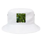 hi_kunの散歩中に見た自然的な風景 Bucket Hat