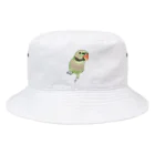 まめるりはことりのご機嫌なダルマインコちゃん【まめるりはことり】 Bucket Hat