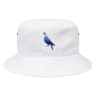 Mt.piyoのアカガシラカラスバトの絵 Bucket Hat