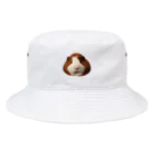 東京モルモットのむっちりばでぃキナコ Bucket Hat