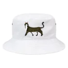 segasworksのきじしろねこ Bucket Hat