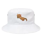 ꧁꧂のすやすや猫 Bucket Hat