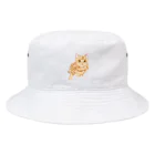 金魚午睡のうちのゆきちゃん。 Bucket Hat