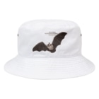 雁花工房（寄付アイテム販売中です）のノレンコウモリ Bucket Hat