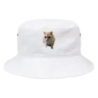 我が家の猫『なると』くんのなるとくん　帽子 Bucket Hat