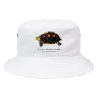 さちこの生物雑貨のヤエヤマセマルハコガメ Bucket Hat